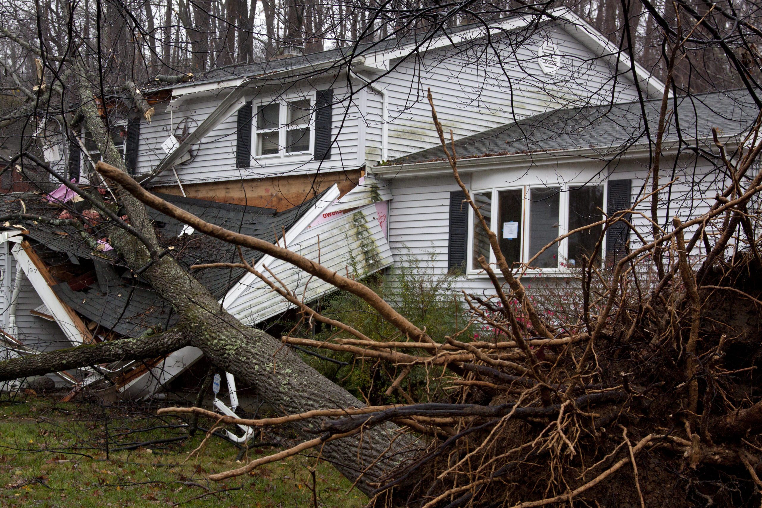 An Uprooted Tree Laying Across the House
